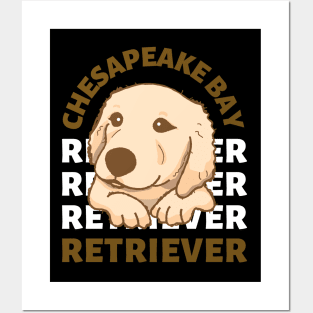 Chesapeake Bay retriever Cute Life is better with my dogs I love all the dogs Posters and Art